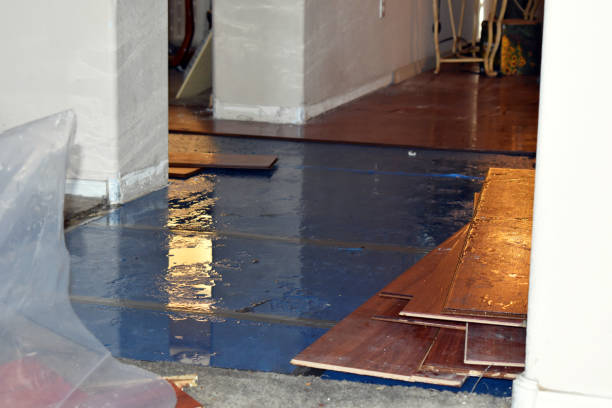 Professional Burst Pipe Cleanup technician working in Saint Jo, TX